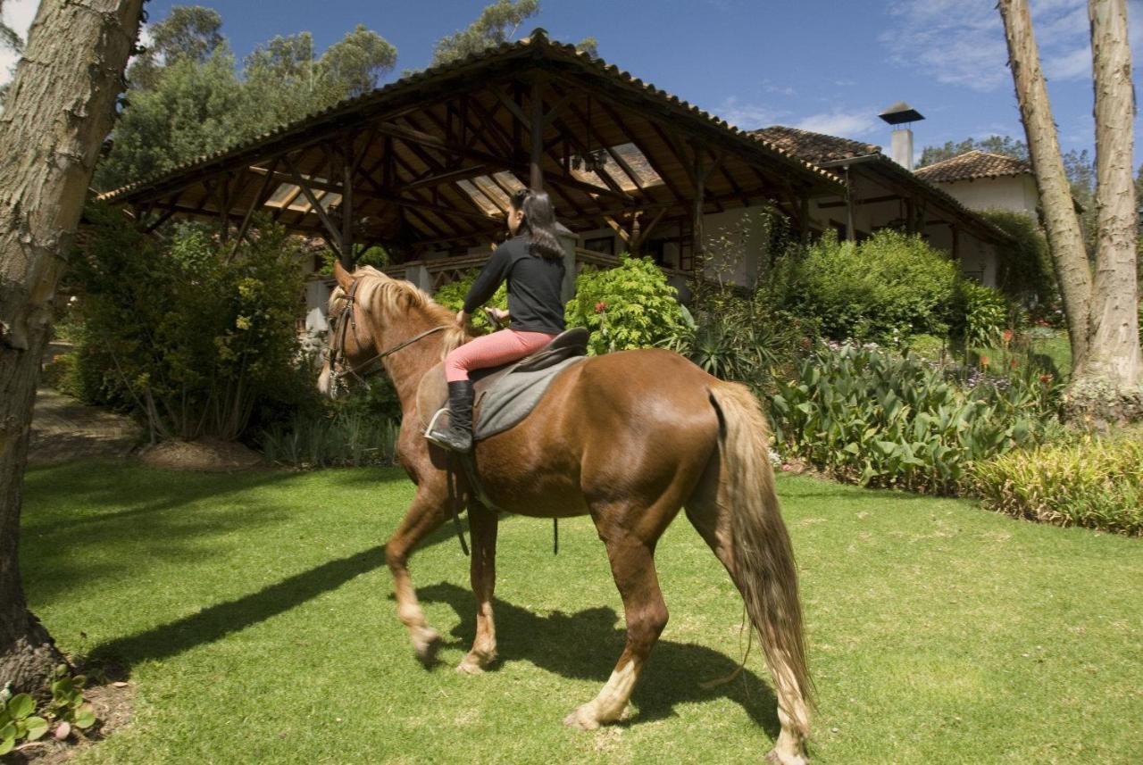 Hosteria Caballo Campana Cuenca Ngoại thất bức ảnh