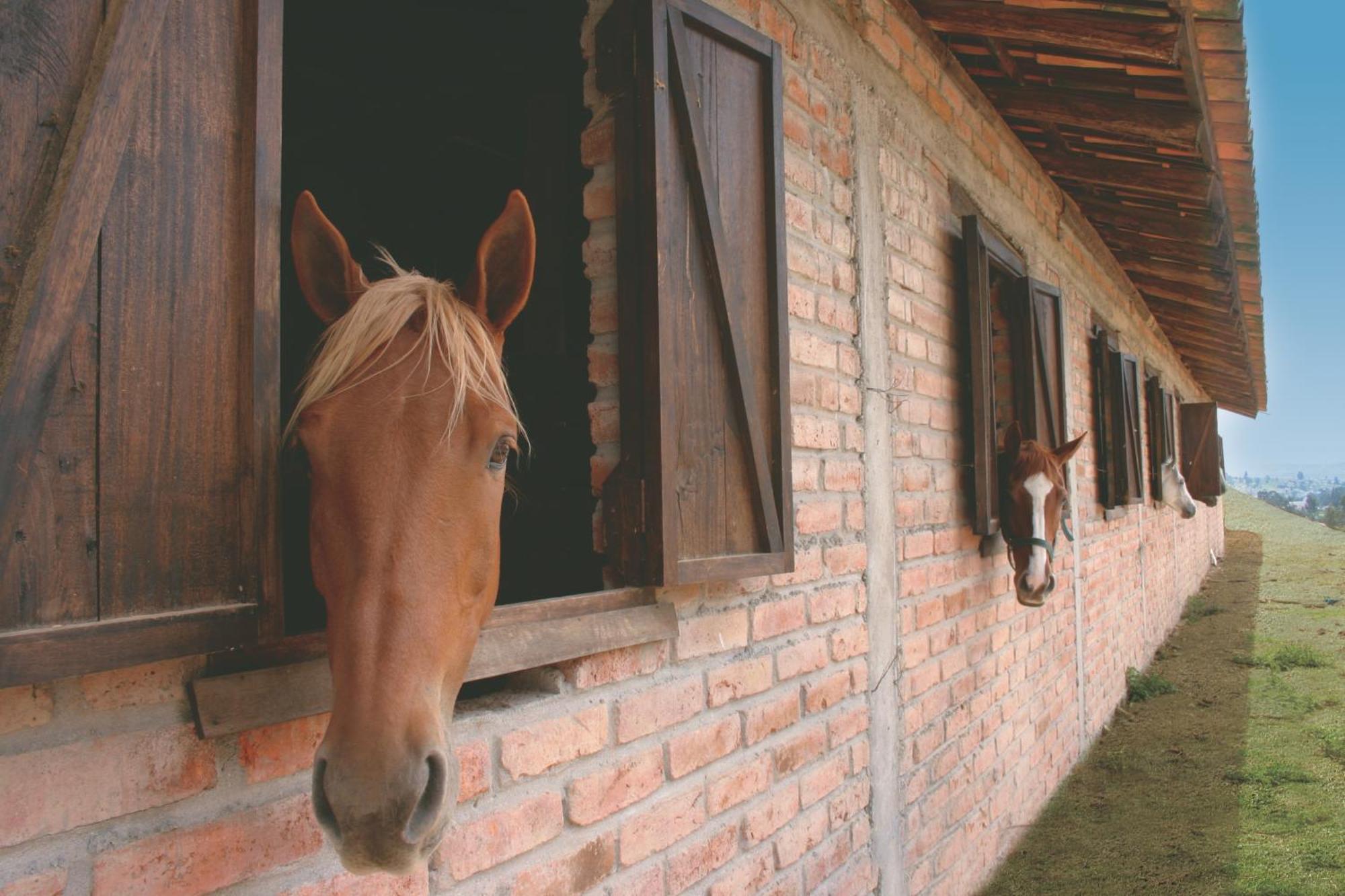 Hosteria Caballo Campana Cuenca Ngoại thất bức ảnh